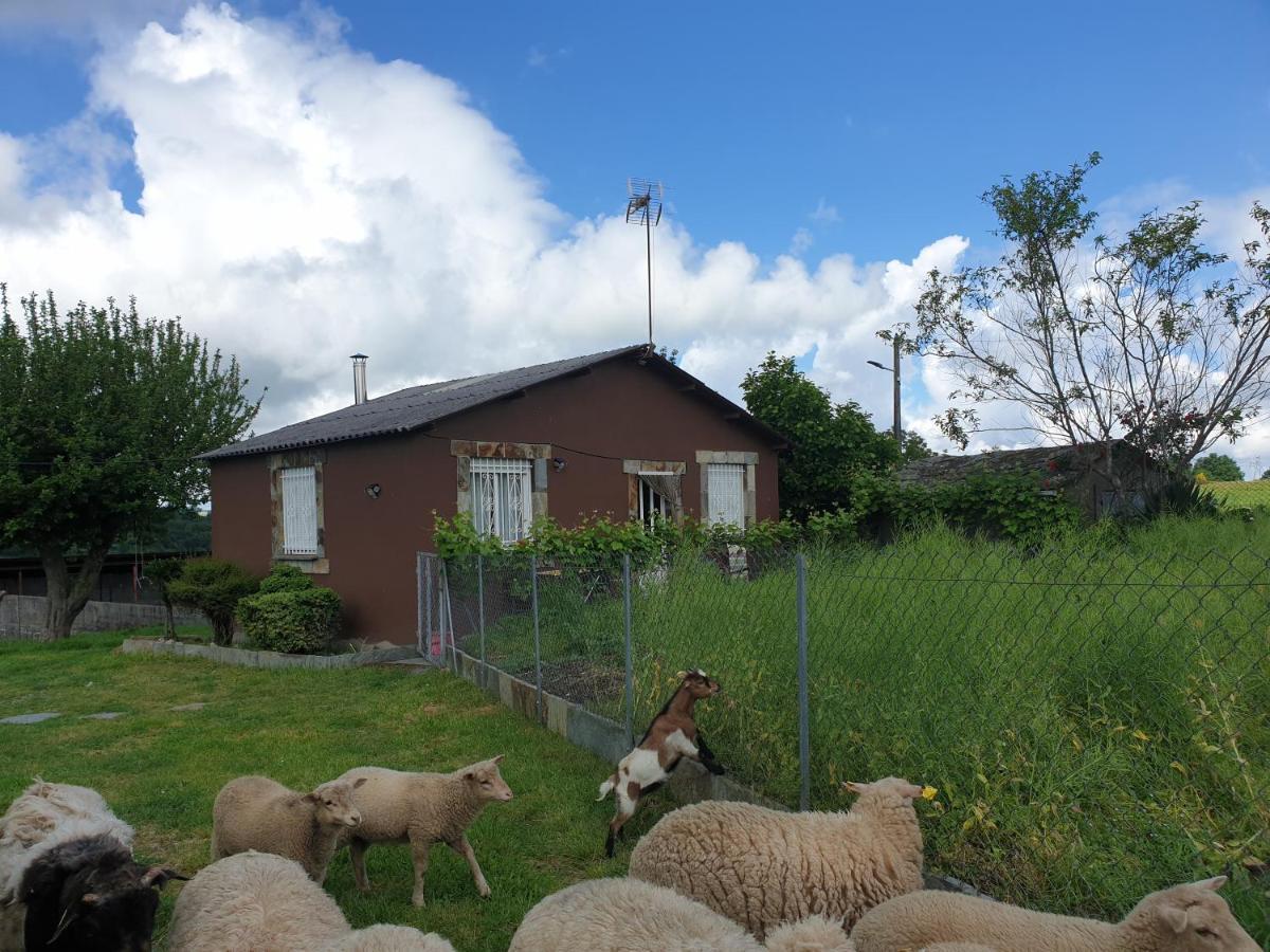 Anamar Villa Lugo Kültér fotó